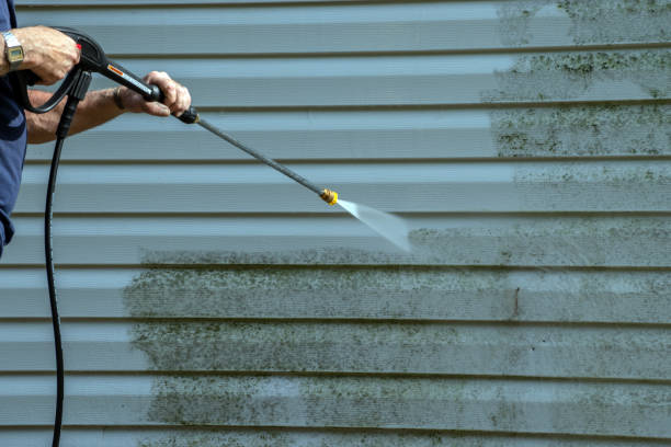 Best Roof Washing  in Crest View Heights, NY